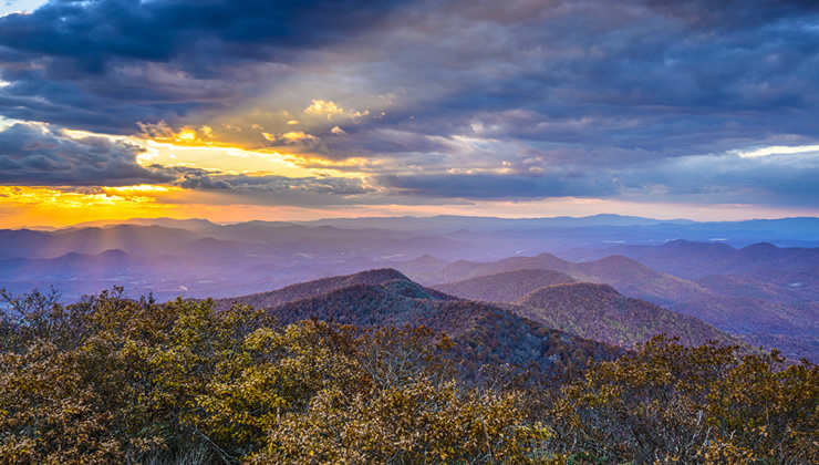 blairsville-blooms