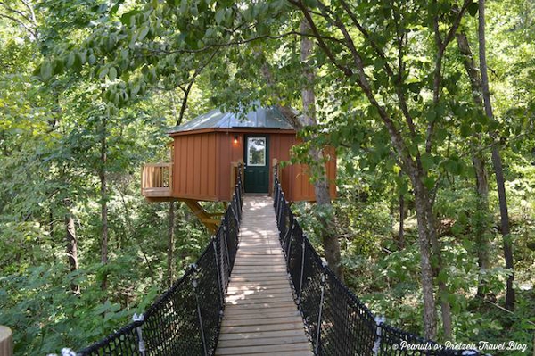 Bridge to TreeHouse