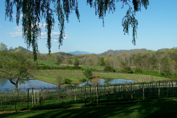 Crane Creek Vineyards