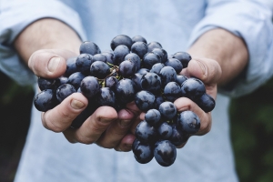 Crossing Creeks Is So Close to Wine Stomps, You Can Almost Smell the Bouquet