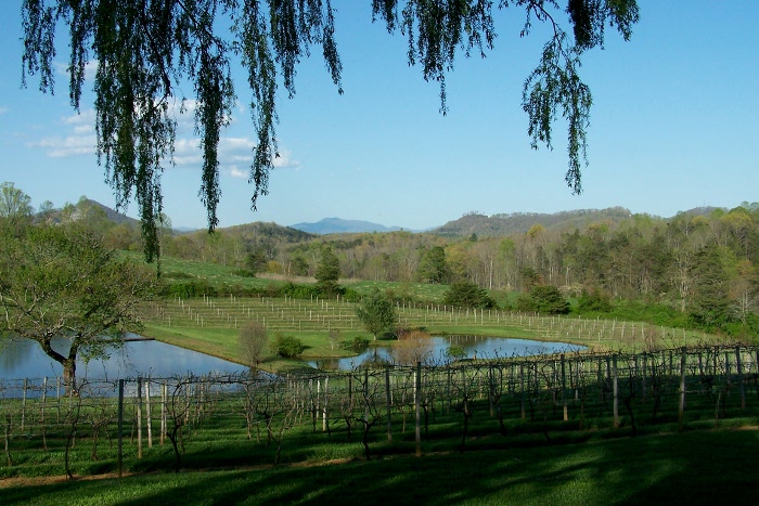 Crane Creek Vineyards
